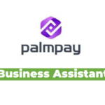 Business Assistant Jobs Vacancy at PalmPay