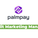 Credit Marketing Manager Jobs Vacancy at PalmPay