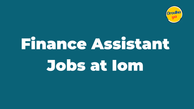 Finance Assistant Jobs at Iom Latest