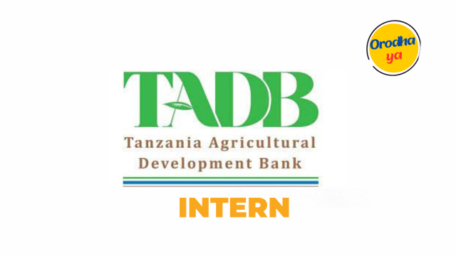 Intern Resource Mobilization at TADB Latest