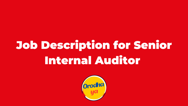 Job Description for Senior Internal Auditor