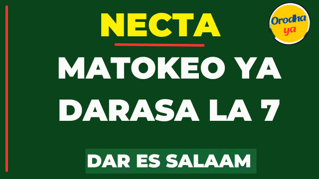 NECTA Matokeo ya Darasa la Saba Dar Es Salam 2023 PDF Hapa