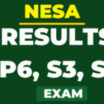NESA results 2023/2024 Exam in Rwanda p6 s3 s6 | sdms.gov.rw