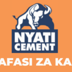 Nyati Cement Assistant Manager Health Safety and Environment