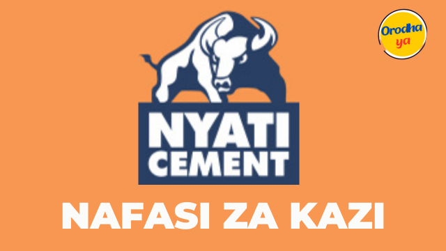 Nyati Cement Assistant Manager Health Safety and Environment