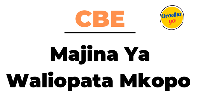 Orodha ya Majina Ya Waliopata Mkopo CBE pdf 2023/2024 Full List