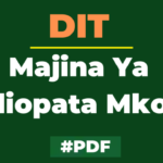 Orodha ya Majina Ya Waliopata Mkopo DIT HESLB pdf 2023 1+