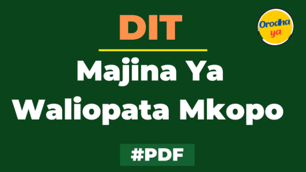 Orodha ya Majina Ya Waliopata Mkopo DIT HESLB pdf 2023 1+