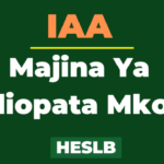 Orodha ya Majina Ya Waliopata Mkopo IAA HESLB pdf 2023 LIST