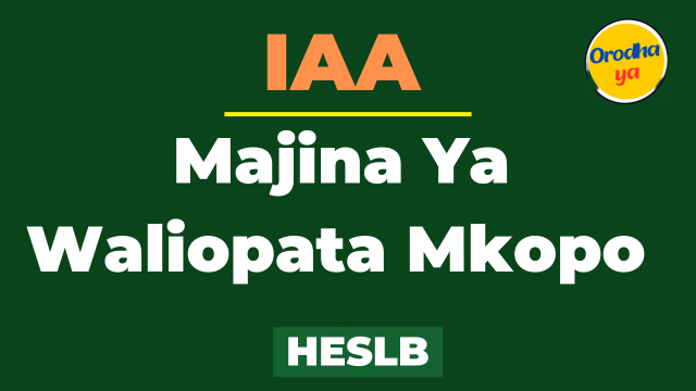 Orodha ya Majina Ya Waliopata Mkopo IAA HESLB pdf 2023 LIST