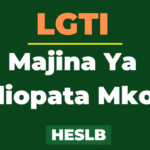 Orodha ya Majina Ya Waliopata Mkopo LGTI HESLB pdf 2023 List