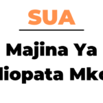 Orodha ya Majina Ya Waliopata Mkopo SUA pdf 2023/2024 Full List
