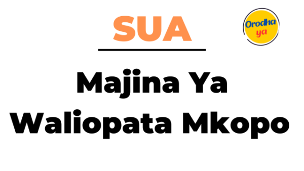 Orodha ya Majina Ya Waliopata Mkopo SUA pdf 2023/2024 Full List