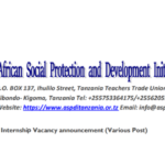 African Social Protection and Development Initiatives (ASPDI) Internship Gender and Protection Officer
