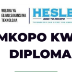 HESLB Diploma Loan Application ' Student Portal' How to Apply & Allocation