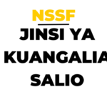Jinsi Ya Kuangalia Salio NSSF Menu -NSSF Balance Check Online 'Steps' How ?