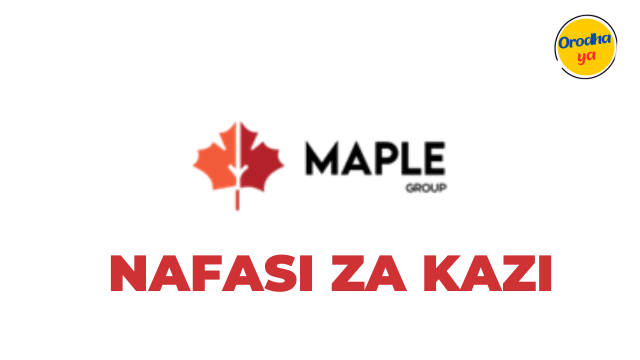 Maple Group Tanzania, Finance and Accountant Officer Jobs Vacancies