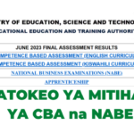 Matokeo Ya Mitihani Ya CBA na NABE, Veta Results 2023 Check Out
