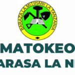 NECTA: Matokeo Ya Darasa La Nne 2023-24, Release Check Out