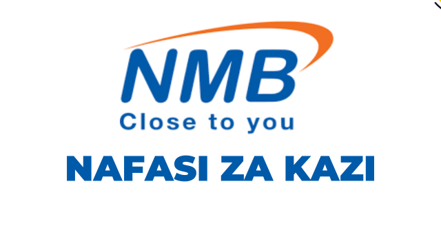 NMB Bank Tanzania, Software Developer Jobs Vacancies '5 Positions'