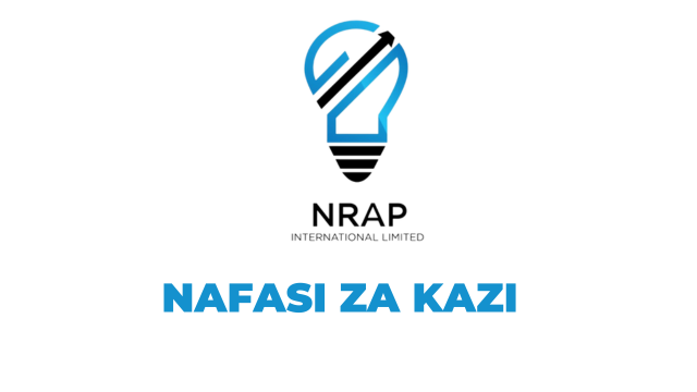 NRAP Tanzania, Chief Financial Officer Jobs Vacancies Apply Now