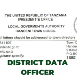 Nafasi Za Kazi Handeni Town Council, Shirika La THPS District Data Officer Jobs Vacancies