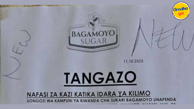 Nafasi za kazi Bagamoyo Sugar Ltd, 61 Positions Jobs Vacancies