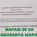 Nafasi za kazi Korogwe Town Council, Wakusanya Mapato korogwe Mji '30 Post'