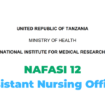 National Institute for Medical Research (NIMR), Assistant Nursing Officer Jobs Vacancies '12 Posts'
