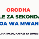 Orodha Ya Shule Za Sekondari Mwanza Region List in Rank Check Out