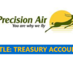 Precision Air, Treasury Accountant Jobs Vacancies Apply