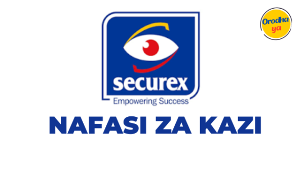 Securex Security and Alarms Company, Accountant Jobs Vacancies