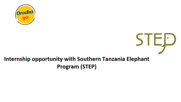 Southern Tanzania Elephant Program (STEP), Internship opportunity