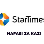 StarTimes, Dealer Sales representative Jobs Vacancies '6 posts'