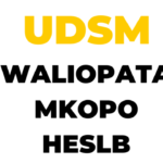 University of Dar Es Salaam (UDSM), Waliopata Mkopo HESLB Check Out Now