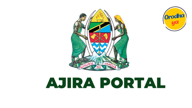 Ajira Portal: Academic Qualification (Applicant) Guide 'Steps'