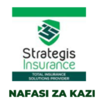 Claims Officer Jobs at Strategis Insurance - November 2023 Apply