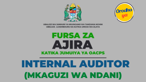 Embassy of Tanzania in Belgium (OACPS), Internal Auditor Jobs Vacancies November, 2023