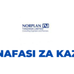 Health and Hygiene Specialist Jobs at NORPLAN Tanzania Ltd - November 2023