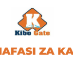 Kibogate Tanzania Limited, Accountant Jobs Vacancies Apply