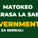 Matokeo Darasa la saba Necta, Government PSLE 2023-24 Results Release Out