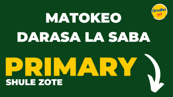 Matokeo Darasa la saba Necta, Primary PSLE 2023-24 Results Release Out