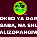 Matokeo ya Darasa la saba 2023 na shule walizopangiwa, NECTA Psle Results