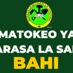 Matokeo ya darasa la saba 2023 Bahi, NECTA Psle Results Check Out