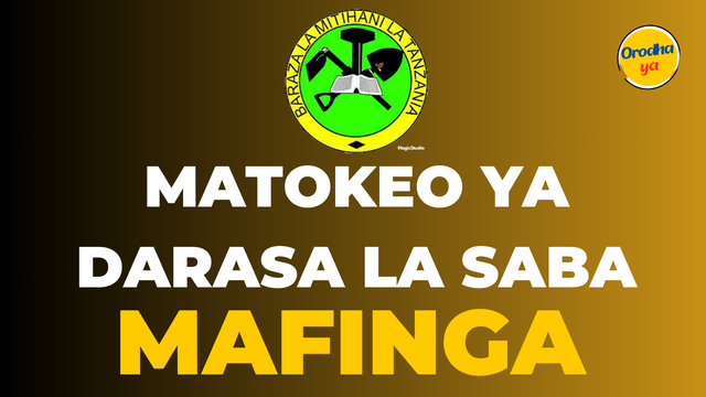Matokeo ya darasa la saba 2023 Mafinga, NECTA Psle Results Check Out