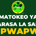 Matokeo ya darasa la saba 2023 Mpwapwa, NECTA Psle Results Check Out