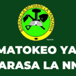 NECTA Matokeo ya Darasa la nne 2023 Dar Es Salaam SFNA Results Release Check Out