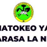 NECTA Matokeo ya Darasa la nne 2023 Primary 2023-24 SFNA Results Release Check Out