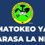 NECTA Matokeo ya Darasa la nne 2023 Standard Four SFNA Results Release Check Out