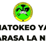 NECTA Matokeo ya Darasa la nne 2023 Std IV 2023-24 SFNA Results Release Check Out